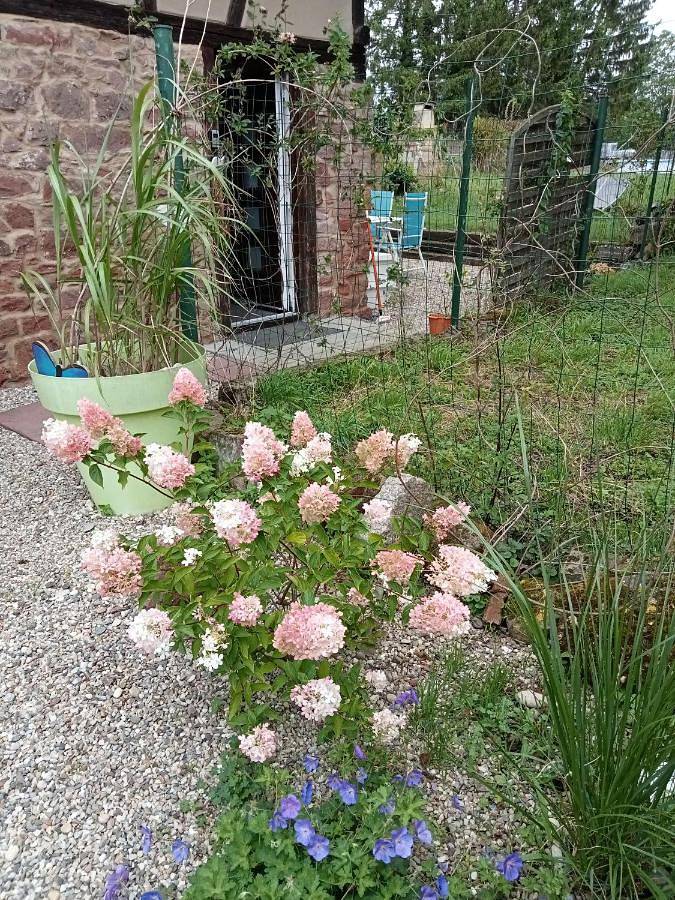 Location de vacances pour 4 personnes, avec jardin à Valff - 2