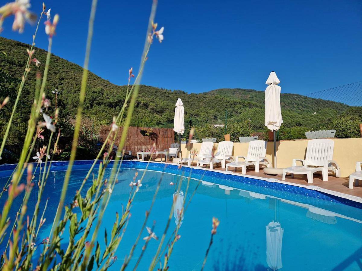Apartment with Mountain View in Saint-Florent-sur-Auzonnet, Cevennen