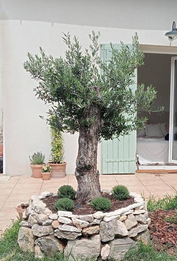 Maison de vacances pour 6 personnes, avec vue et jardin