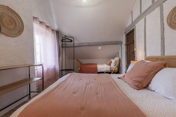 Gîte pour 10 personnes, avec jacuzzi, animaux acceptés à Chitenay - 4