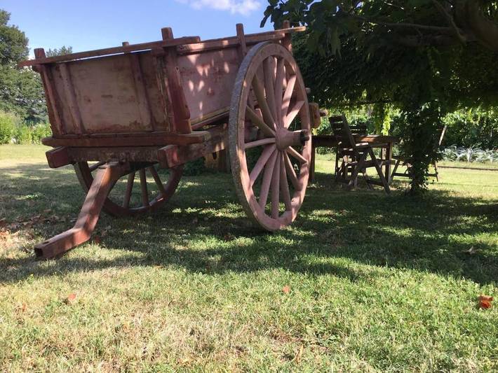 Location de vacances pour 8 personnes, avec vue ainsi que jardin et piscine, animaux acceptés à Foligno - 3