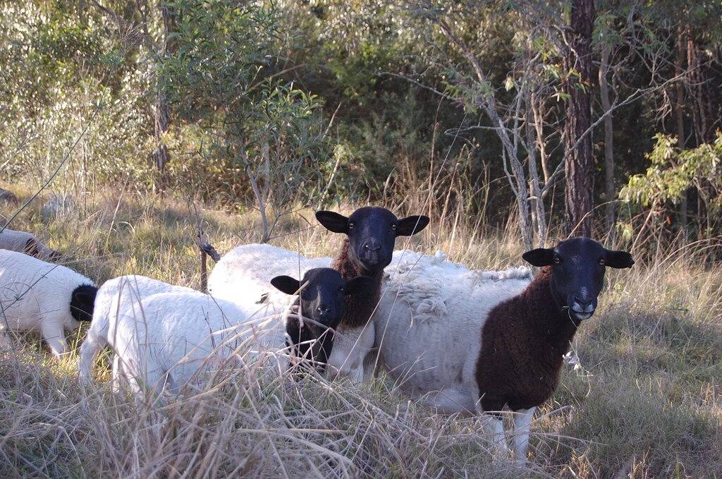 Hunter Valley - Romantisches Luxus-Spa-Ferienhaus - herrliche Aussicht in Maitland City, Hunter Valley
