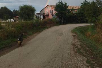 Gîte pour 2 personnes, avec jardin, animaux acceptés à Caumont-sur-Durance