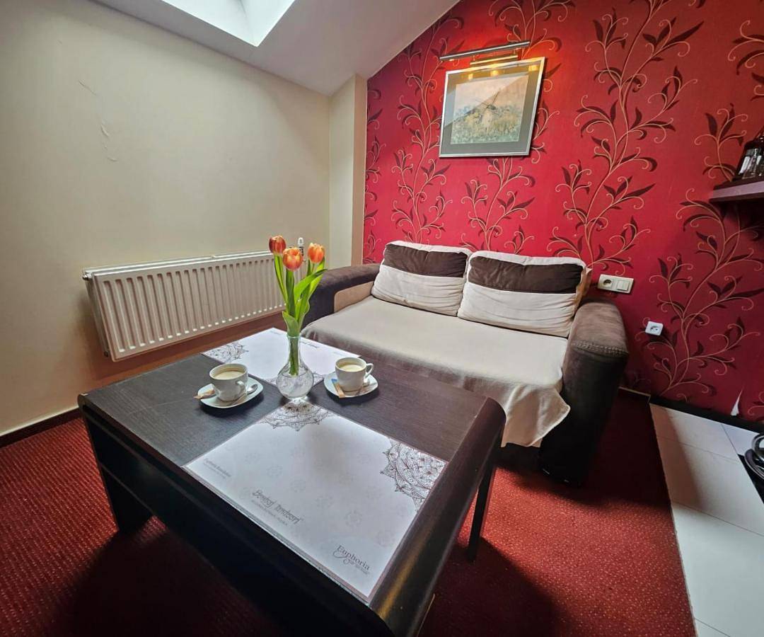 Cały apartament, Apartment in Sosnowiec, Śląsk