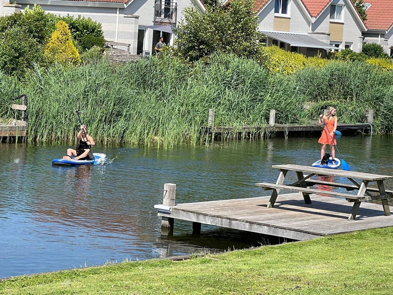 Fh Satijnduiker in Makkum, Ijsselmeer