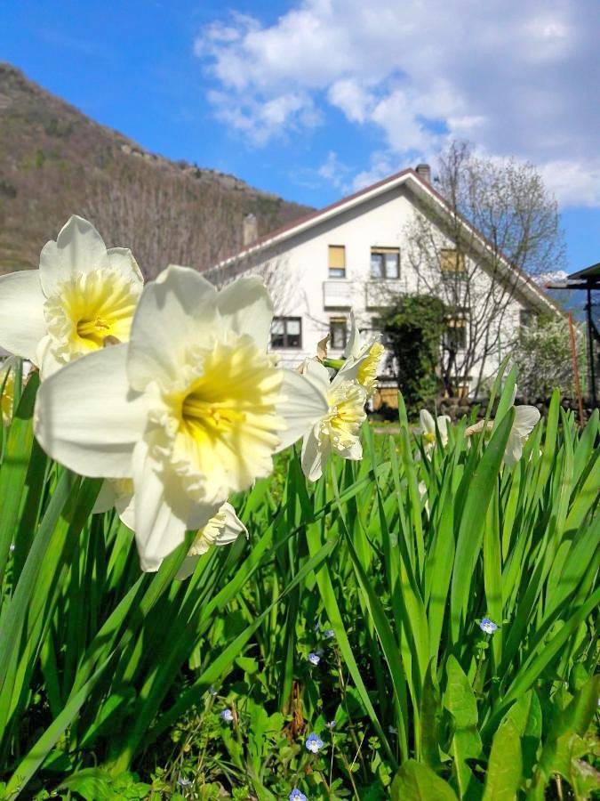 Location de vacances pour 4 personnes, avec jardin à Tirano - 3