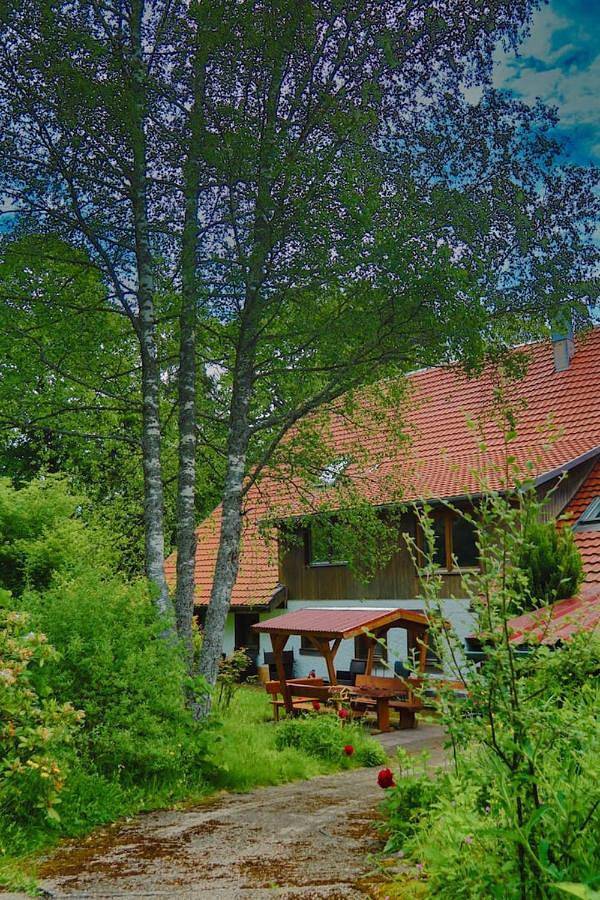 Ferienhaus für 4 Personen, mit Garten und Ausblick in Görwihl - 2