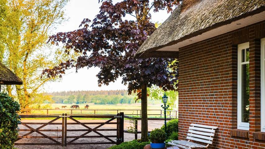 Ferienhaus für 4 Personen, mit Garten und Balkon sowie Whirlpool in Unterweser - 2
