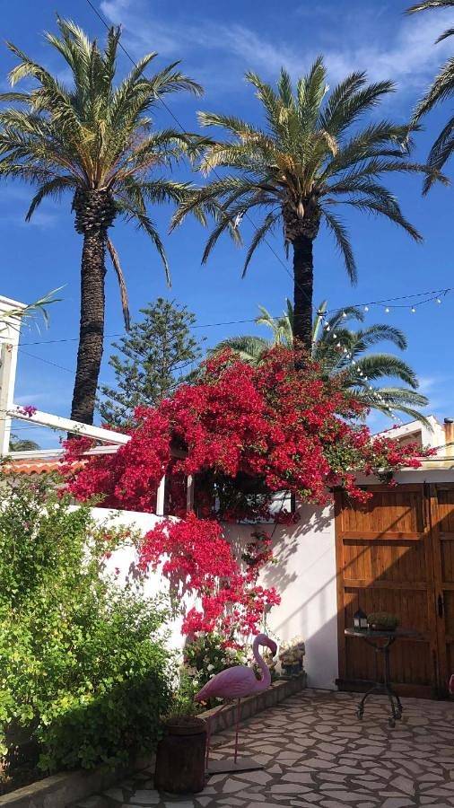 Maison de campagne pour 3 personnes, avec vue et jardin dans Poble Nou Del Delta - 4