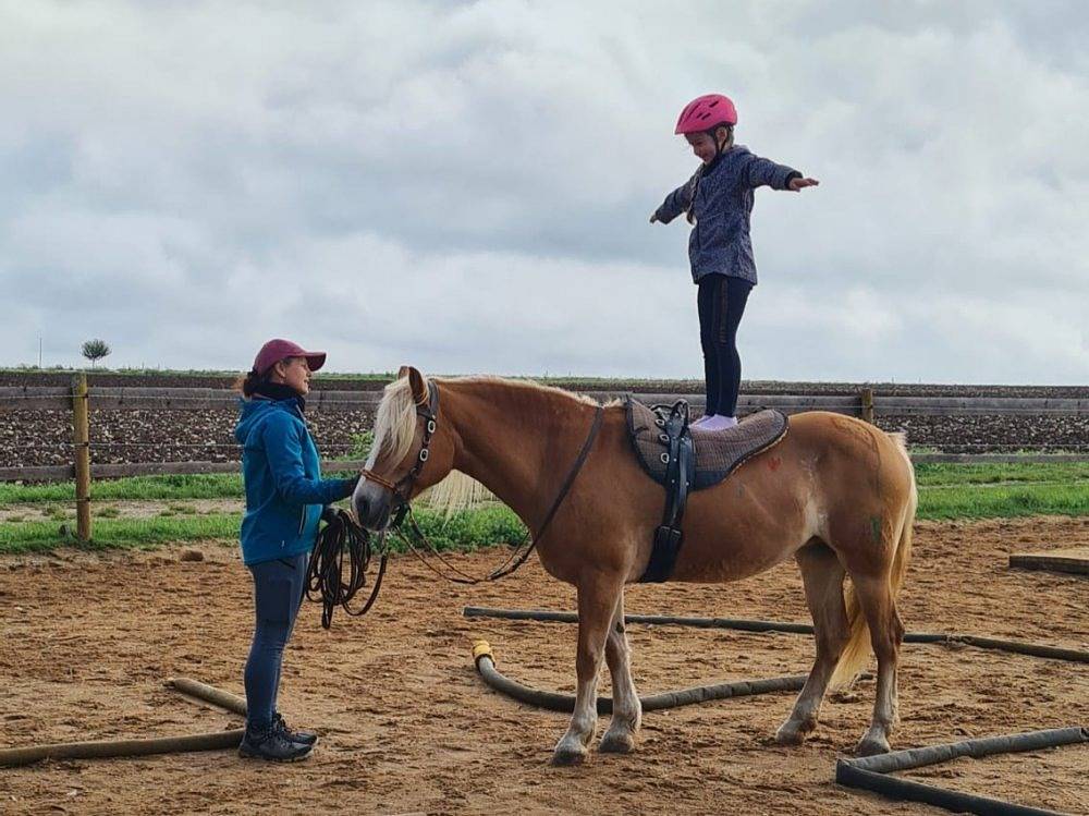 Ferienhof Veit - 3 Ferienwohnung Flachsbuck in Bergen (Alemania), Frankenalb