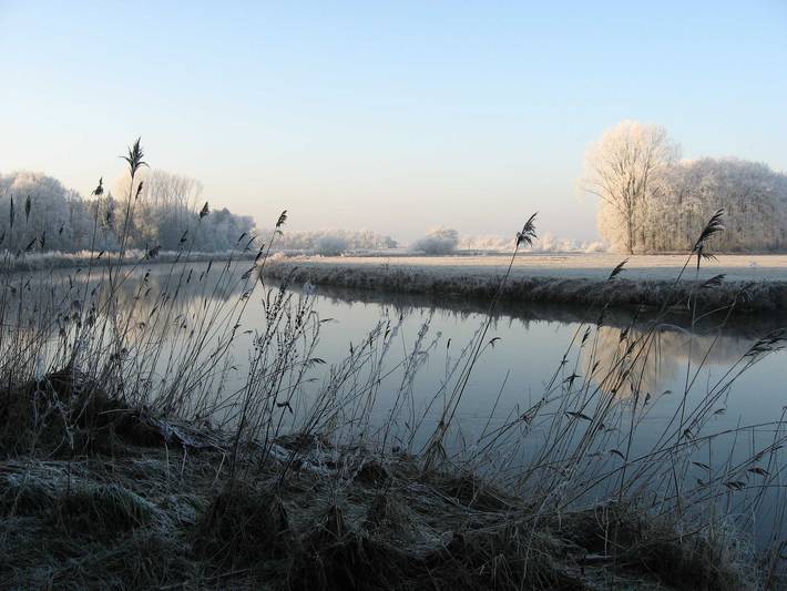 Ferienhaus für 12 Personen, mit Garten und Sauna sowie Ausblick, mit Haustier in Niedersachsen - 3