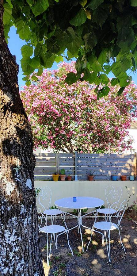 Location de vacances pour 12 personnes, avec jardin, animaux acceptés à Saint-Thomas-de-Conac - 2