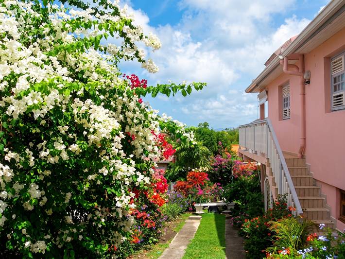 Entire apartment, Cozy apartment in Sainte Anne, 30 m² with garden in Sainte-Anne, Martinique