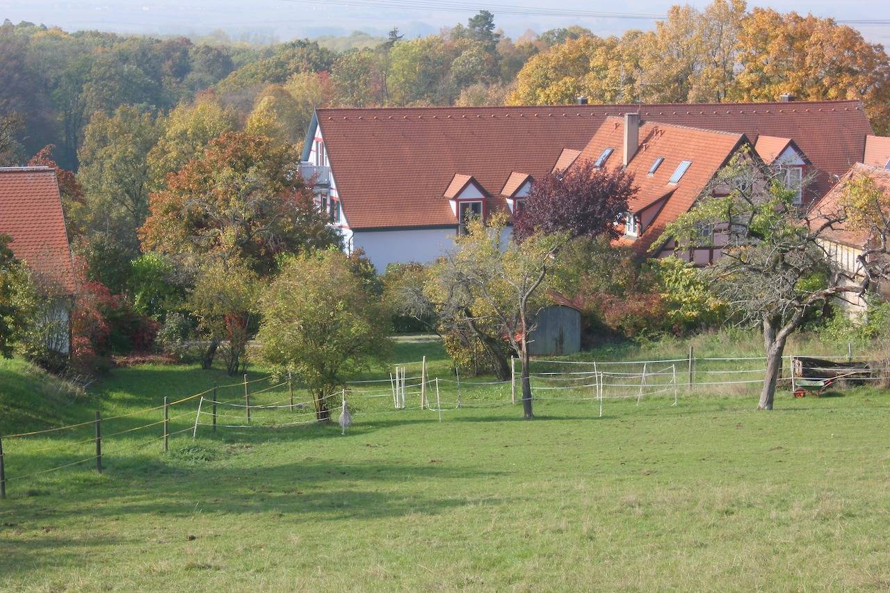Pension im Vorhof - Ferienwohnung "Rosmarin" (50qm) für vier Personen in Windelsbach, Taubertal