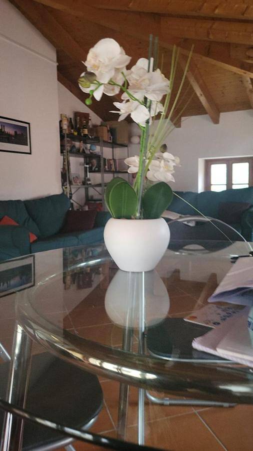 Maison d’hôte pour 4 personnes à Lugano - 4