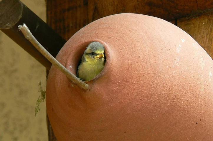 Location de vacances pour 4 personnes, avec jardin à Verneuil-sur-Avre - 4