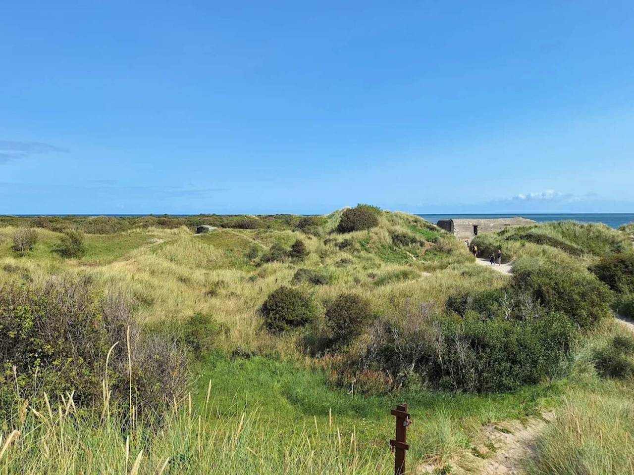 6 Personen Ferienhaus in Skagen in Skagen, Tannisbucht