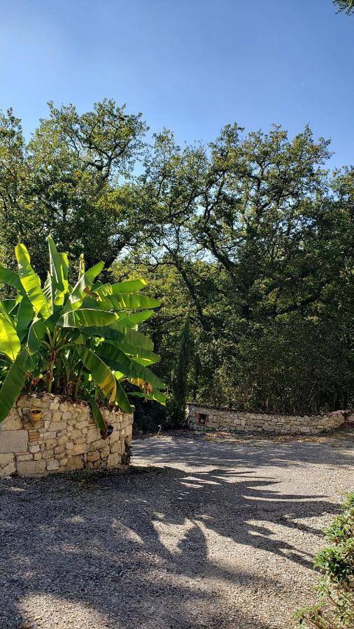 Une pause au milieu des bois in Foulayronnes, Quercy