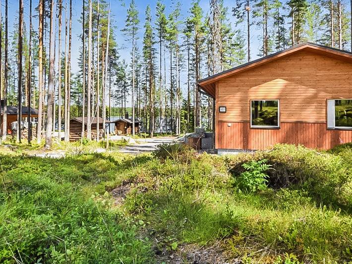 Lepovalkeinen in Saarijärvi, Mittelfinnland