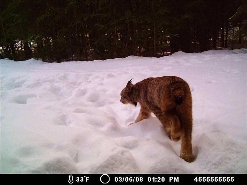Stone Gatehouse in Mt. Robson Park Near Jasper Nat. Park, Ab in Fraser-Fort George