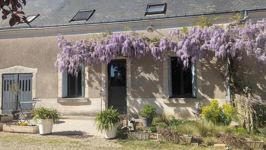 Location de vacances pour 2 personnes, avec jardin et terrasse à Azay-sur-Cher - 3