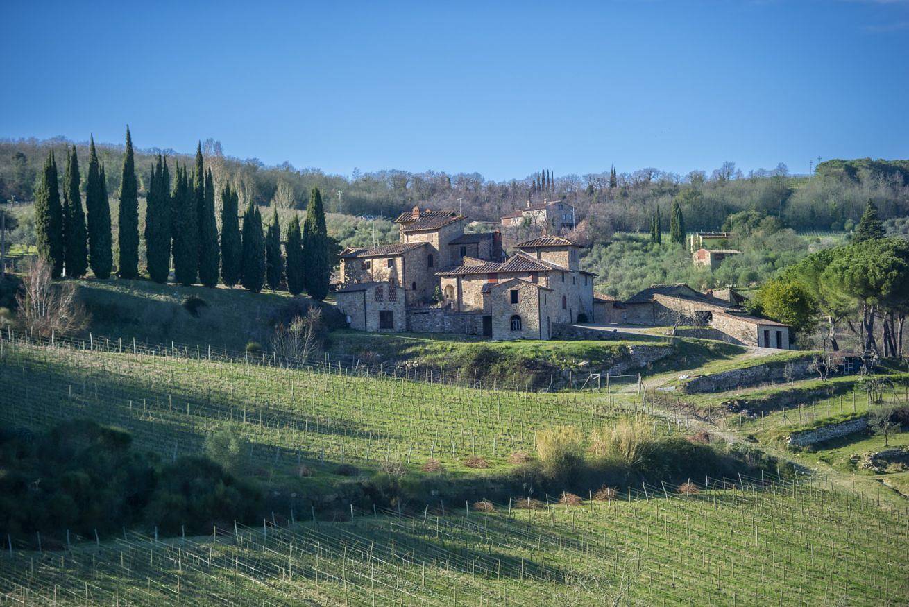 My Exclusive Italy - Chianti's Villa | Vineyard, infinity pool, view in Panzano In Chianti, Chianti