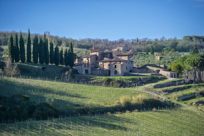 Ferienhaus für 37 Personen, mit Balkon/Terrasse und Garten sowie Pool in Panzano In Chianti