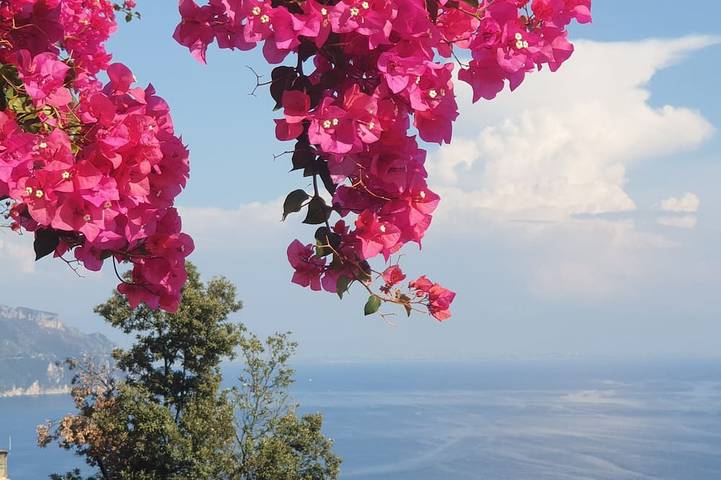 Agriturismo per 4 persone, con balcone, con animali domestici in Penisola Sorrentina