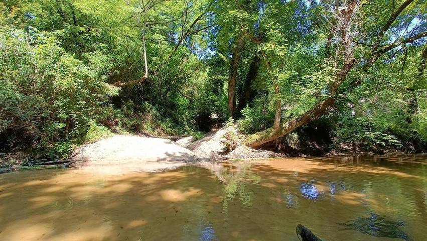 Location de vacances pour 2 personnes, avec jardin ainsi que terrasse et vue dans Parc naturel régional des Landes de Gascogne - 4