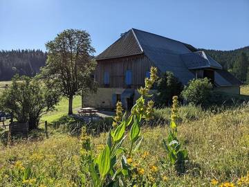 Gîte pour 8 personnes, avec terrasse et vue, animaux acceptés dans Mouthe