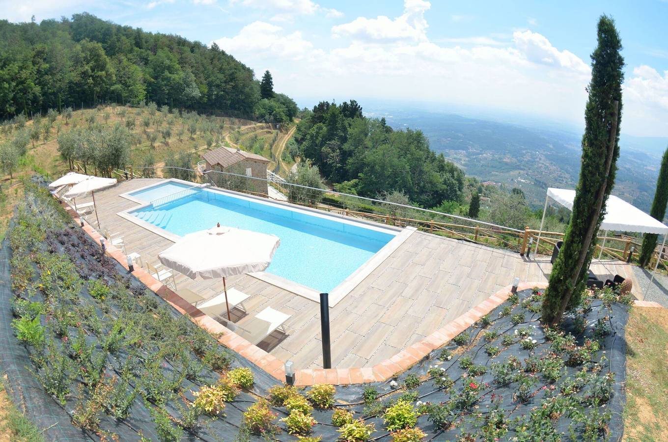 Villa Orchidea in Capannori, Lucca Provisen