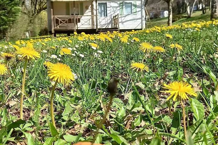 Mobil home pour 6 personnes à Soturac - 4