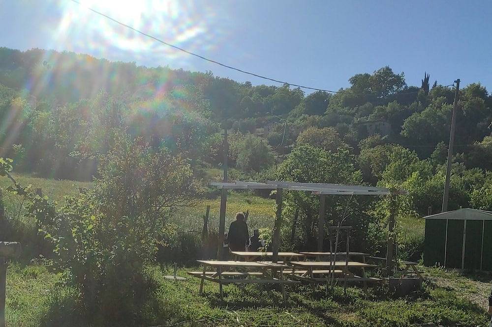 Herculea Rifugio Bosco Bradano oasi della biodiversità in San Fele, Vulture