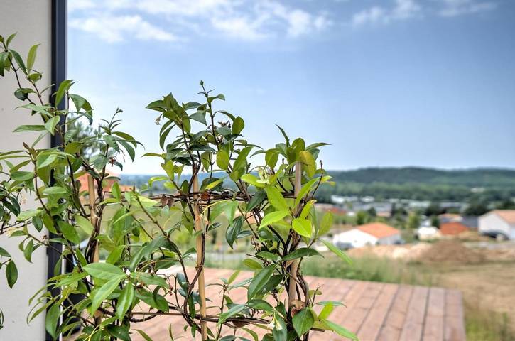 Location de vacances pour 2 personnes, avec vue et jardin à Boulazac - 3