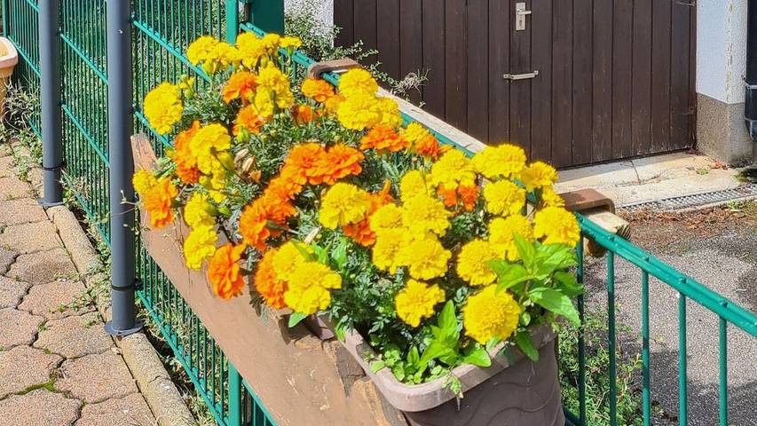 Ferienwohnung für 3 Personen, mit Balkon/Terrasse in Herrischried
