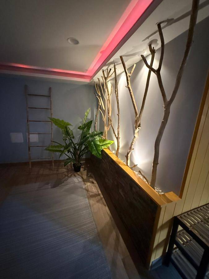 Gîte pour 10 personnes, avec vue ainsi que jardin et sauna, animaux acceptés à Scharrachbergheim-Irmstett - 4