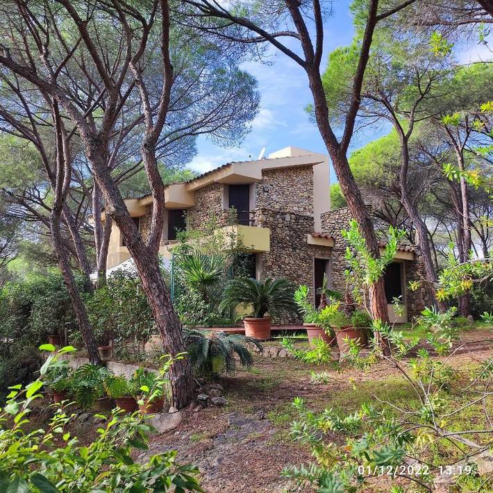 Ferienhaus für 8 Personen, mit Garten, mit Haustier - 1