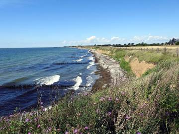 Ferieudlejning til 10 Personer i Gedesby, Lolland-Falster, Billede 4