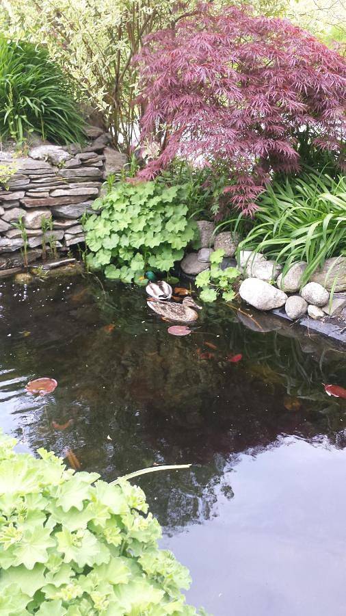 Ferienwohnung für 2 Personen, mit Garten und Terrasse, mit Haustier in Latsch - 4