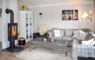 Vakantiehuis voor 8 Personen in Drangedal, Vestfold og Telemark, Afbeelding 3