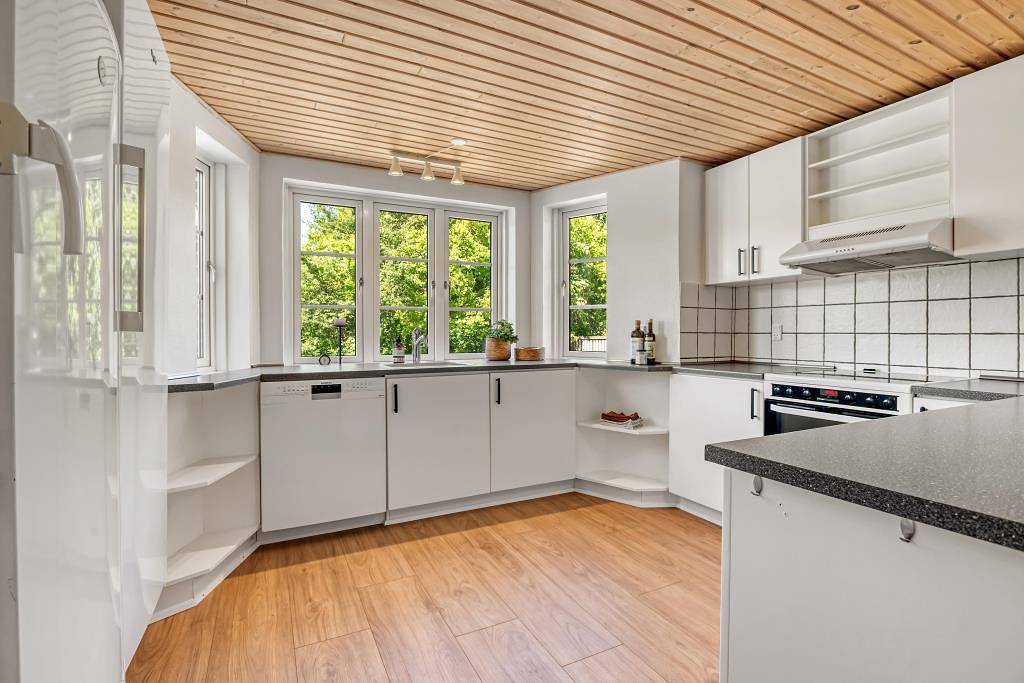  T   B  I   Standard  Professionel  Uformel  Akademisk  Kreativ Ferienhaus für 6 Pers. und 2 Hunde in Staby in Ulfborg, Nissum Fjord