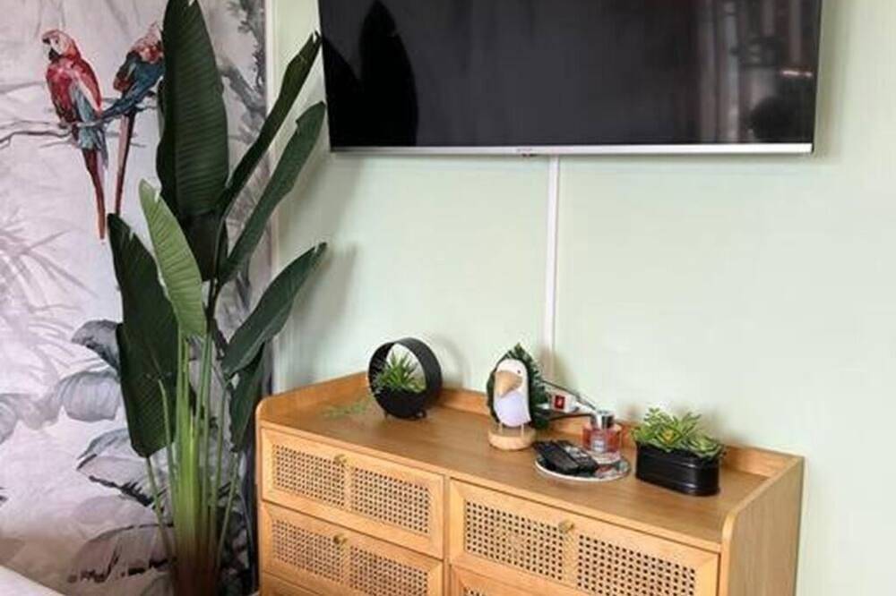 Entire apartment, Studio Le Cosy Jungle close to the station and historic center in Chartres, Chartres region