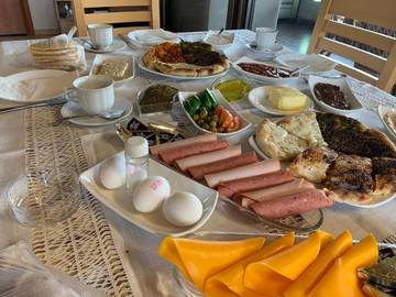 Vacation Rental for 5 Guests in North Distric (Israel), Picture 4