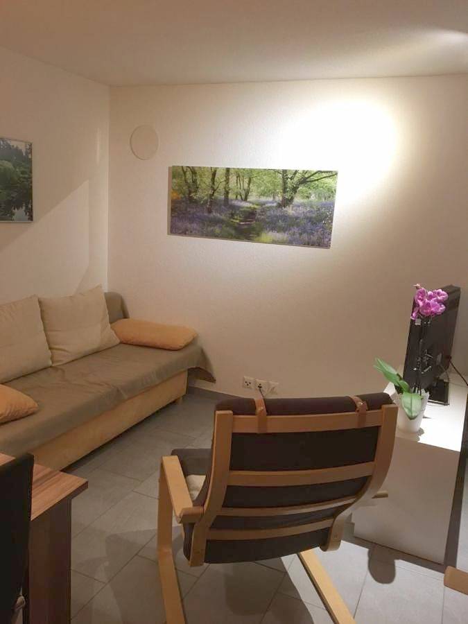 Ganze Wohnung, One-Bedroom Apartment in Wiler, Brig - Goms & Umgebung