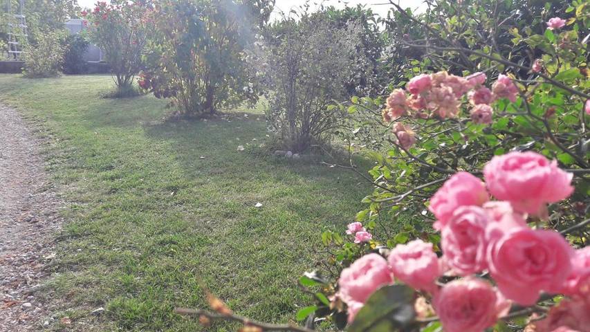 Chambre d’hôte pour 2 personnes, avec jardin et vue à Orvieto - 3