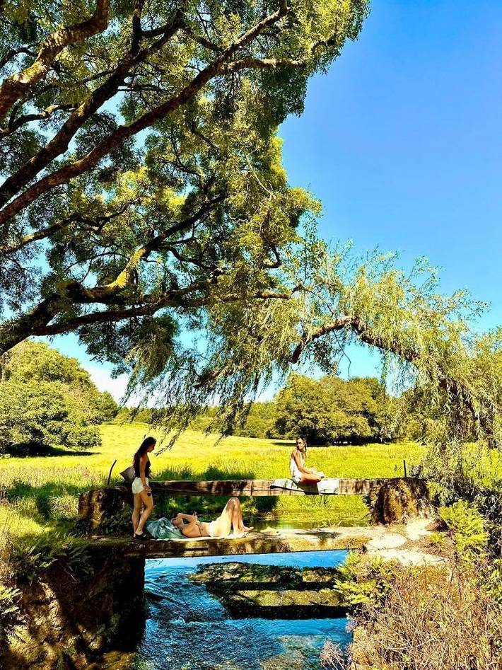 Gîte pour 6 personnes, avec jardin à Pluvigner - 4
