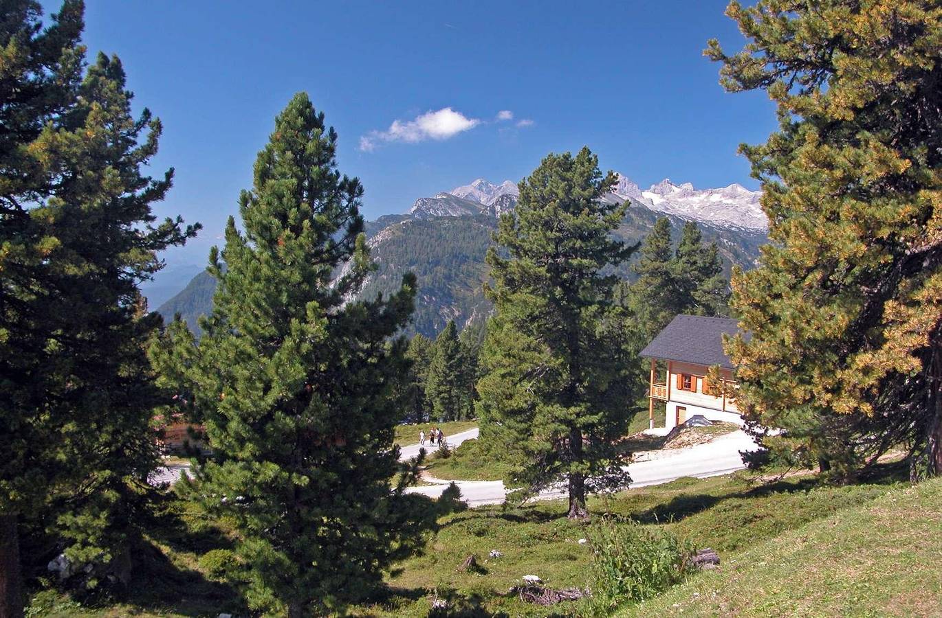 Ferienhaus, Dusche und Bad, Wc, 3 Schlaf in Aich, Schladming-Dachstein