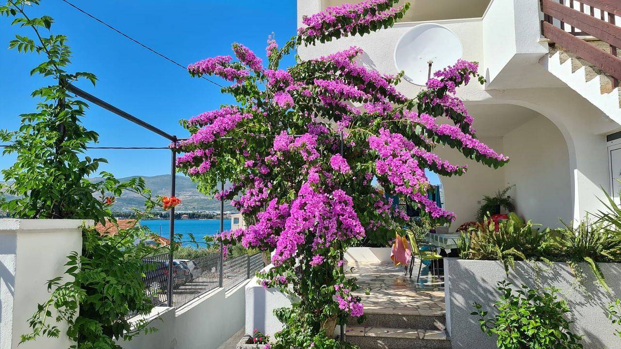 Ganze Ferienwohnung, Ferienwohnung für 7 Personen (96 m²) in Arbanija in Arbanija, Ciovo