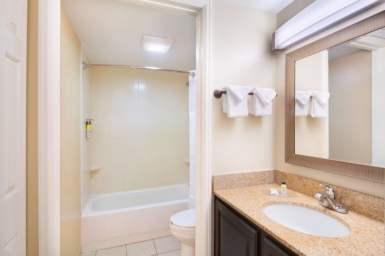 Entire studio, Staybridge Savannah Historic District in Savannah, Chatham County