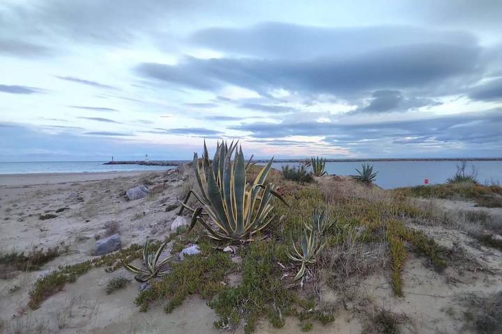 Location de vacances pour 4 personnes, avec Balcon et Terrasse ainsi que Jardin et Piscine dans Leucate naturiste